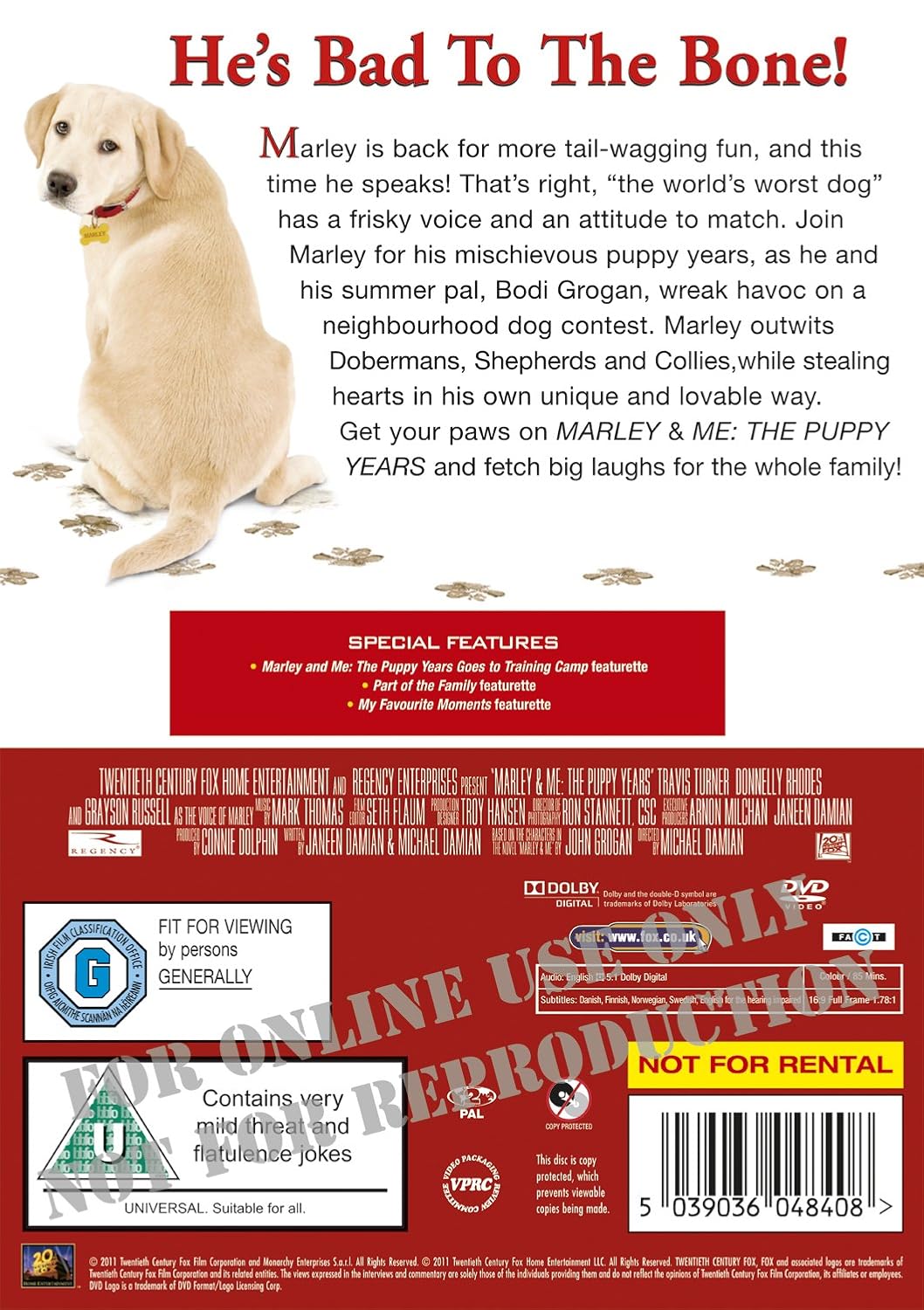 Marley and Me 2 - The Puppy Years (DVD)